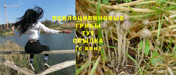дмт Нефтегорск