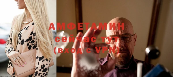 сатива Нефтекумск