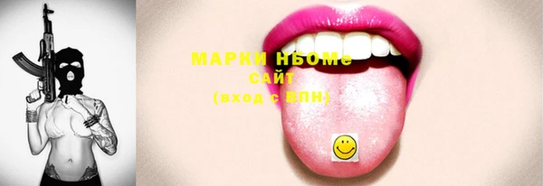 сатива Нефтекумск