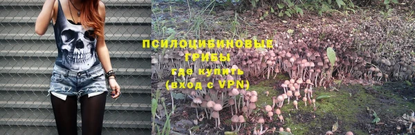 дмт Нефтегорск