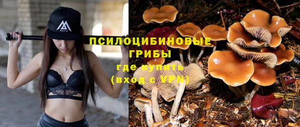 дмт Нефтегорск