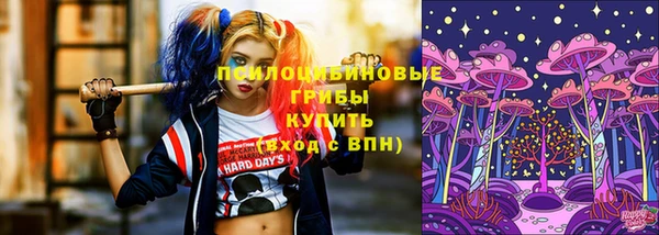 дмт Нефтегорск