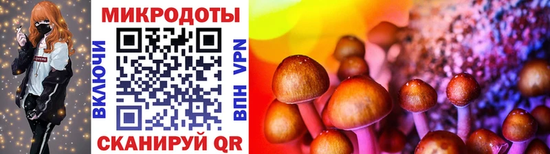 Купить  Оха  Псилоцибиновые грибы ЛСД 